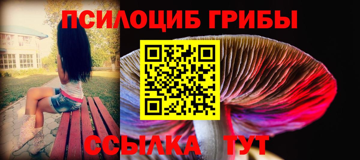 Шахты  Галлюциногенные грибы Magic Shrooms  Вход с VPN 